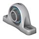 SKF P2BSS Bearing Unit Complete Rustfri Food Line